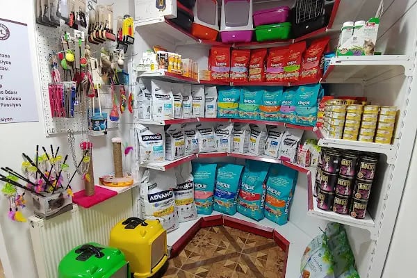 Keçiören Pet Level Veteriner Klinik - Resim 8