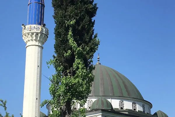 Tekeler Merkez Cami - Resim 8