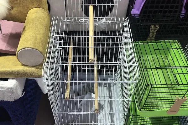 Aykan Gölcük Pet Shop - Resim 19