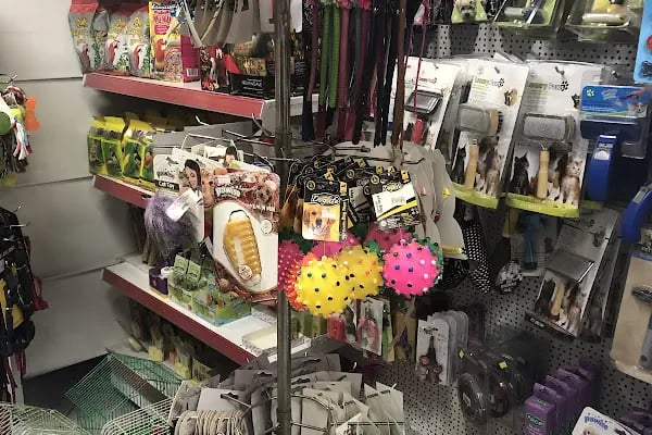 Aykan Gölcük Pet Shop - Resim 7