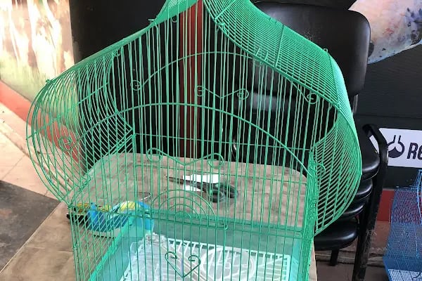 Aykan Gölcük Pet Shop - Resim 10