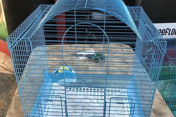 Aykan Gölcük Pet Shop - Resim 16
