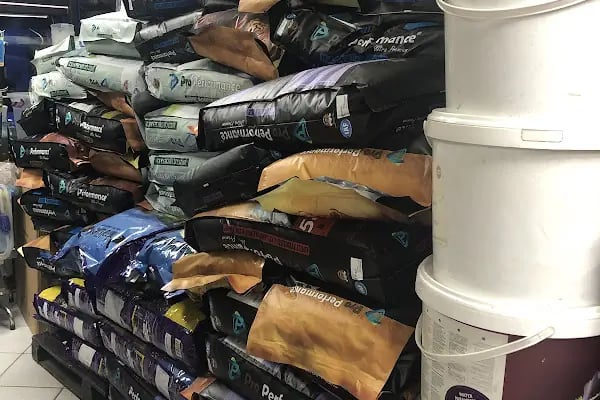 Aykan Gölcük Pet Shop - Resim 8