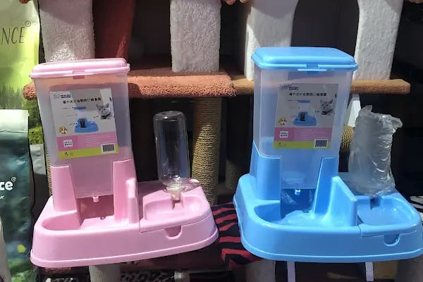 Aykan Gölcük Pet Shop - Resim 17