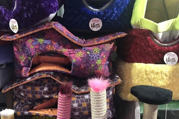 Aykan Gölcük Pet Shop - Resim 12