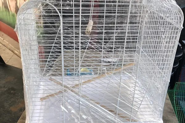 Aykan Gölcük Pet Shop - Resim 13