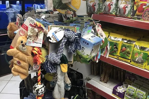 Aykan Gölcük Pet Shop - Resim 15