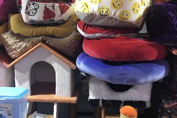 Aykan Gölcük Pet Shop - Resim 18