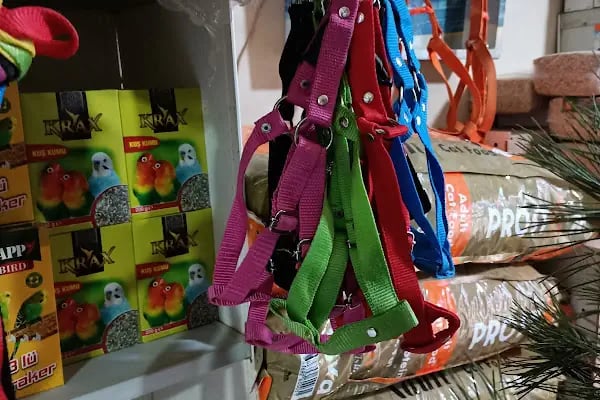 Seda Akvaryum &amp; Pet Shop - Resim 2