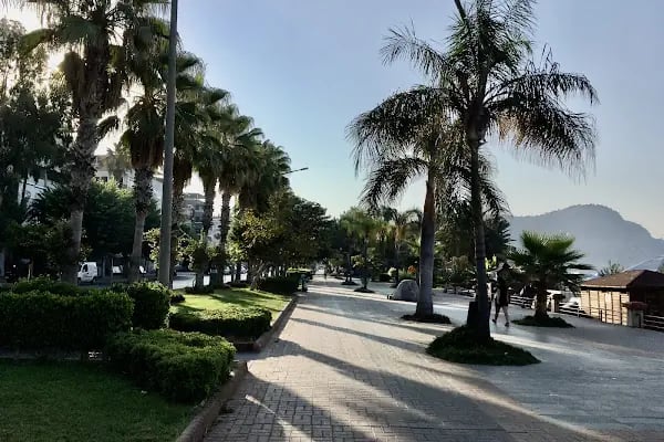 RIZVANOĞLU OFFİCE - Resim 1
