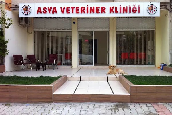 Asya Veteriner Kliniği - Resim 1