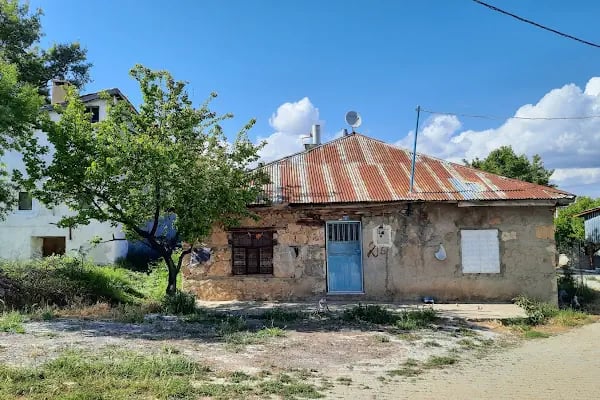 Aliçerçi - Resim 7