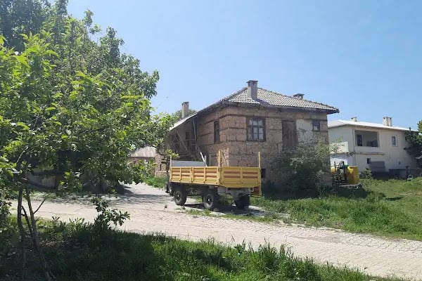 Aliçerçi - Resim 12