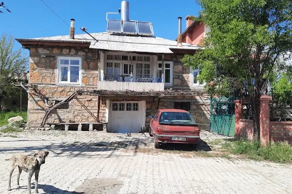 Aliçerçi - Resim 4