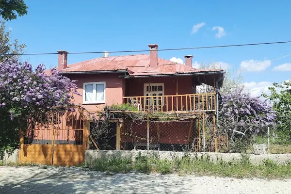 Aliçerçi - Resim 15