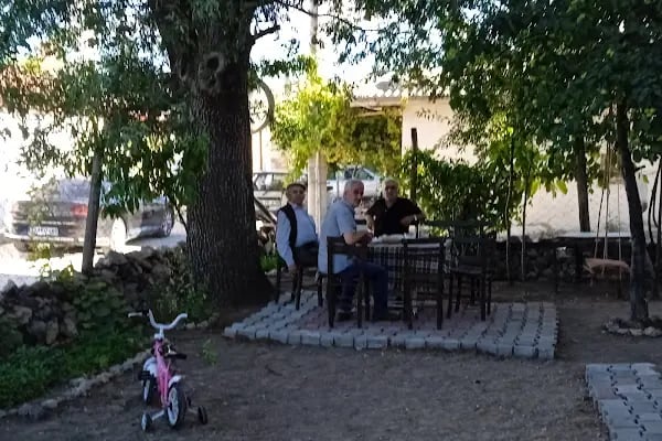 Aliçerçi - Resim 6