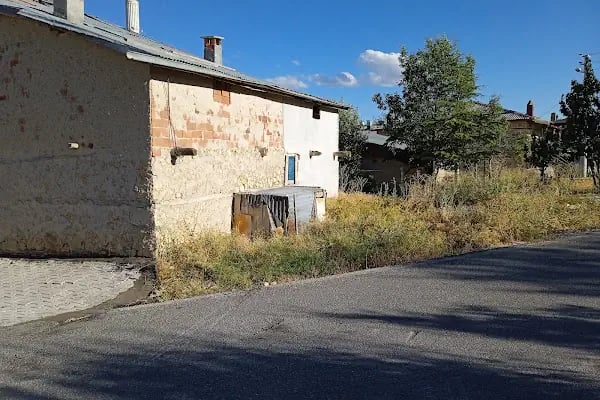 Aliçerçi - Resim 14