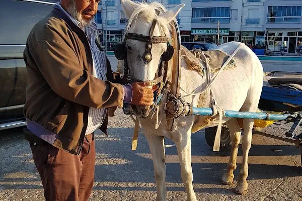 Kulu Otogarı - Resim 13