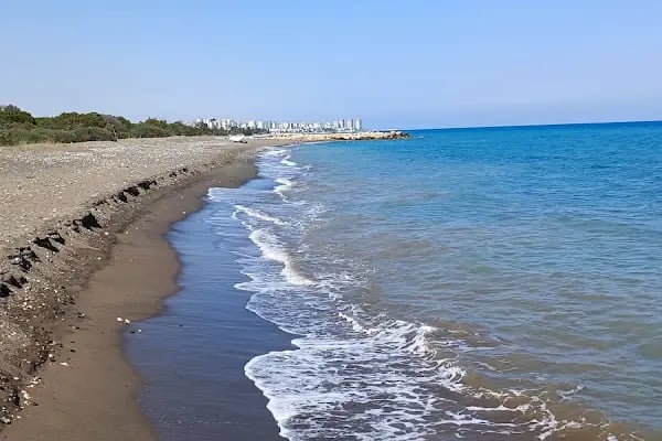 Talat Göktepe Tabiat Parkı Kamp Alanı - Resim 2