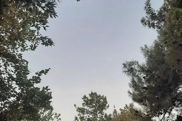 Talat Göktepe Tabiat Parkı Kamp Alanı - Resim 15