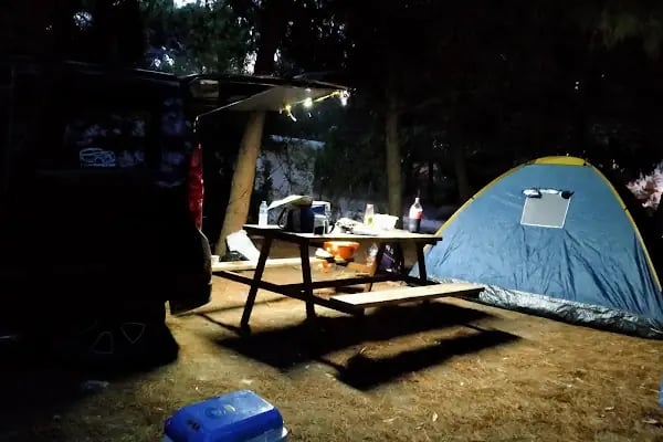 Talat Göktepe Tabiat Parkı Kamp Alanı - Resim 20
