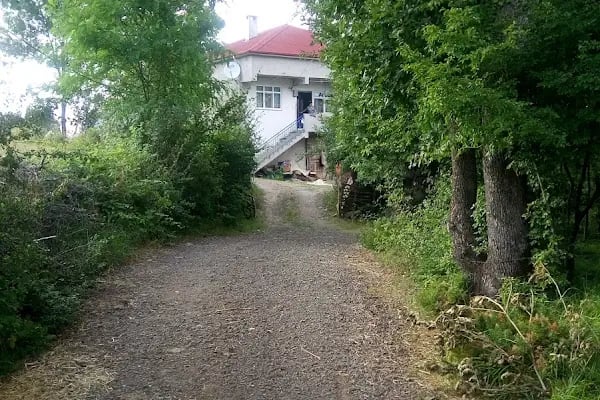 Çetirlipınar - Resim 5