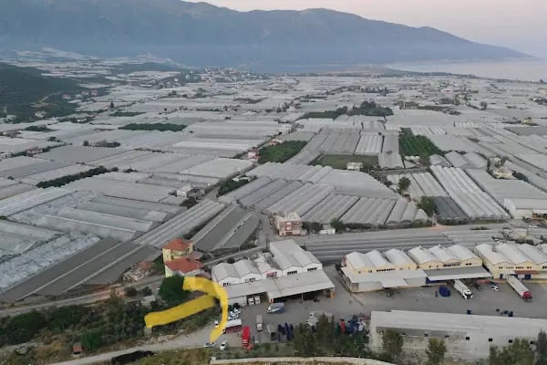 KORELİLER SEBZE MEYVE KOM.TİC. ve TUR.LTD.ŞTİ. - Resim 5