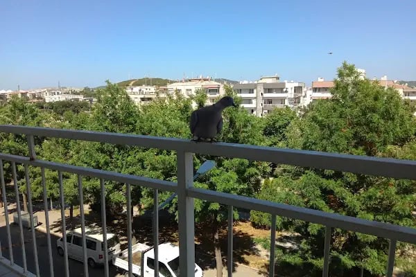 Yurtiçi Kargo Aliağa - Resim 7