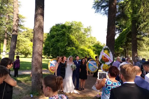 Merinos Nikah Salonu - Resim 9