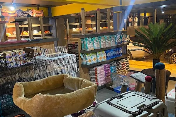 PetButik35 Petshop - Resim 10