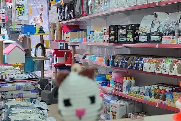 mini patiler petshop - Resim 4