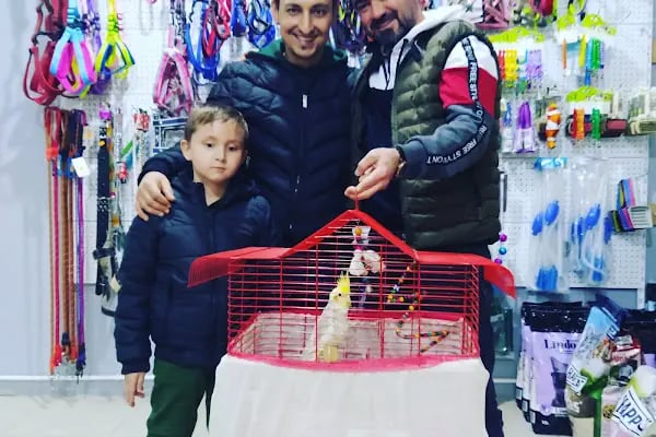 mini patiler petshop - Resim 16
