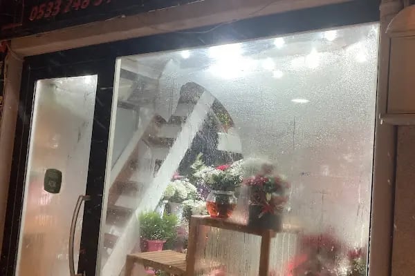 Afacan Çiçek Evi - Resim 2
