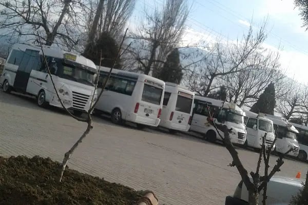 Ss 35 Nolu Gürsu Minibüs Ve Otobüs Durağı - Resim 2