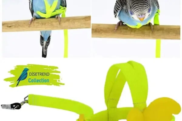 Doğa Petshop Bozova - Resim 11