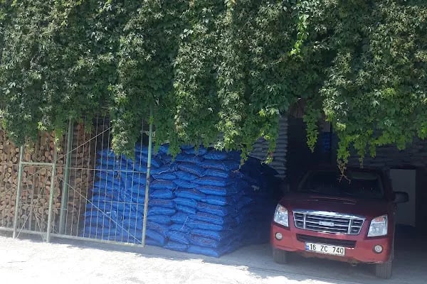 Gemlik Kömür Odun Deposu (ERDİL KÖMÜR) - Resim 4