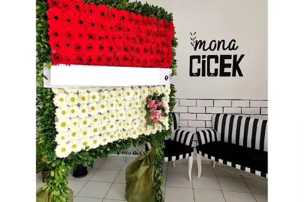 Mona Çiçek - Resim 5