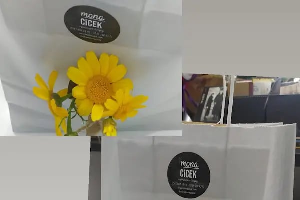 Mona Çiçek - Resim 11