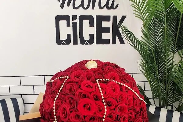 Mona Çiçek - Resim 4
