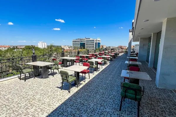 Diyarbakır Turistik Palas Otel - Resim 5
