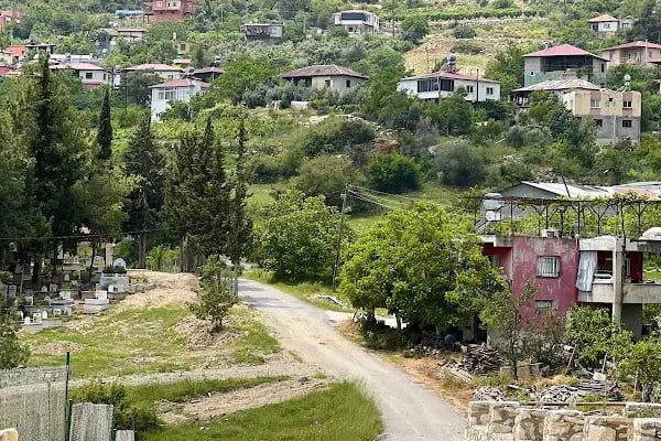 Mersin Doğa At Çiftliği - Resim 13