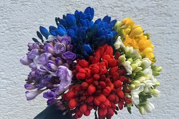 Sunset Florist - Sakarya Serdivan Çiçekçi - Resim 11