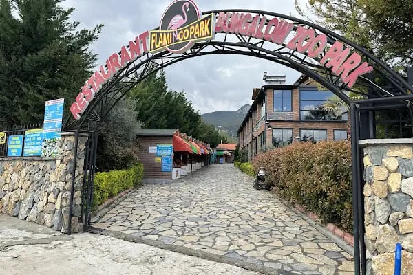 Flamingo Park - Resim 5