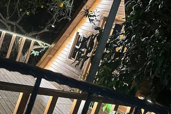 Mersin Peethoven Veteriner Kliniği - Resim 18