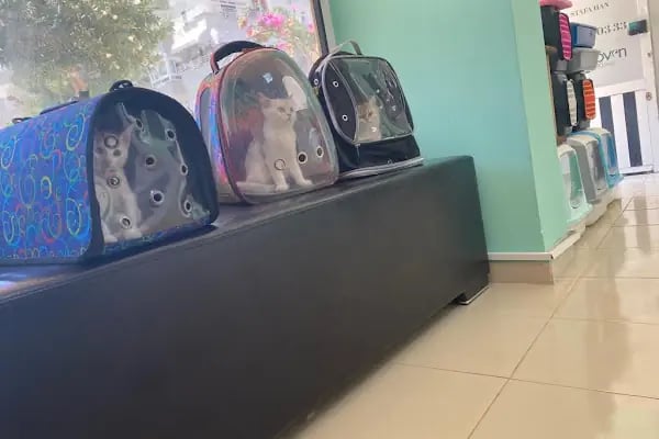 Mersin Peethoven Veteriner Kliniği - Resim 19