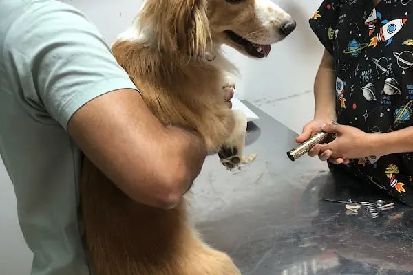 Mersin Peethoven Veteriner Kliniği - Resim 20