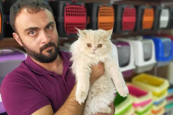 Şımarık Patiler - Resim 16
