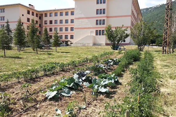 Akşehir Tarık Buğra Sosyal Bilimler Lisesi - Resim 16