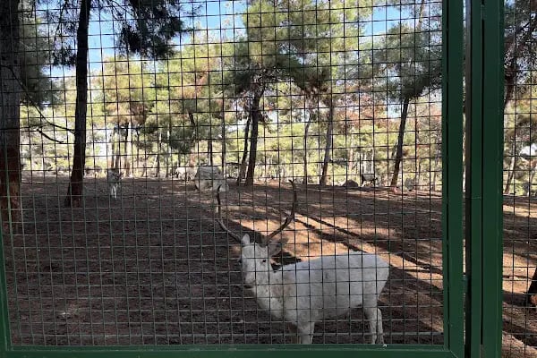 Gaziantep Büyükşehir Belediyesi Hayvanat Bahçesi - Resim 16