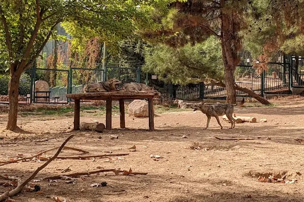 Gaziantep Büyükşehir Belediyesi Hayvanat Bahçesi - Resim 3